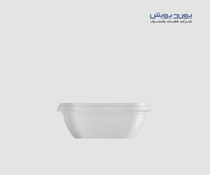 ظرف مایکروویو حجم 250 سی سی برند پولاد پویش مدل قایقی کارتن 430 عددی